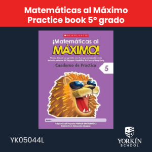 matemáticas al máximo practicebook 5 grado