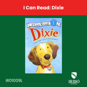 i can read: dixie
