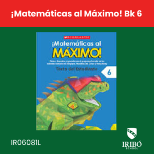 ¡matemáticas al máximo! bk 6
