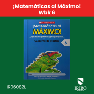 ¡matemáticas al máximo! wbk 6